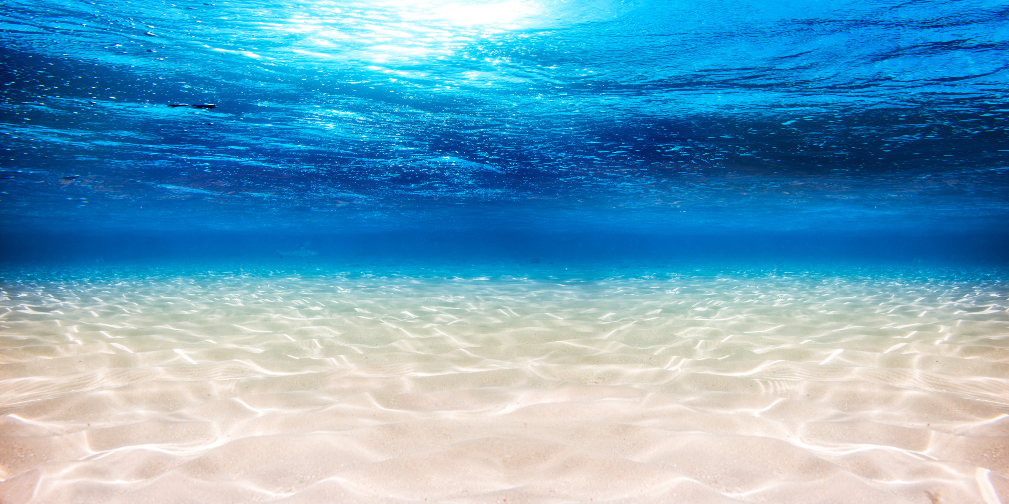 Underwater,Blue,Ocean,Wide,Panorama,Background,With,Sandy,Sea,Bottom